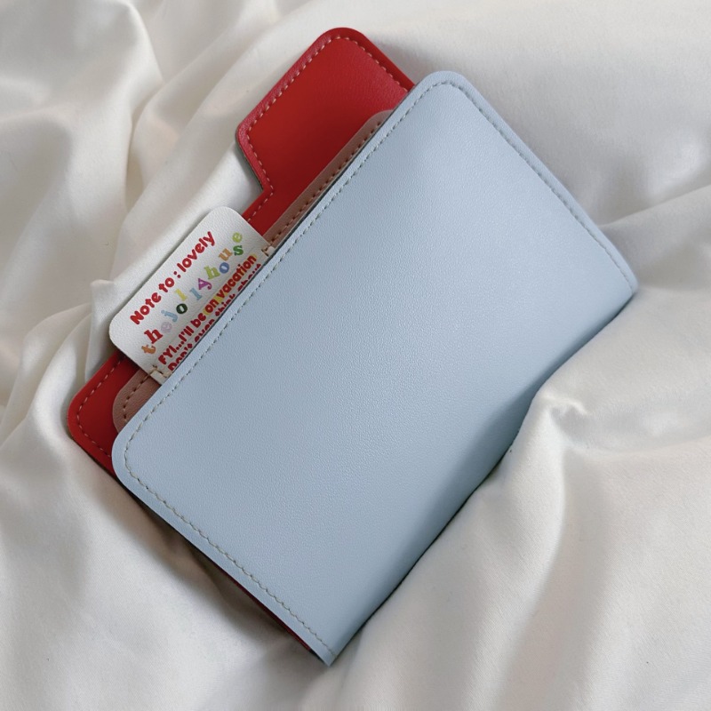 Ins Renk Bloğu Pasaport Tutucu - Travel Accessories Pouch For Men incelemesi ve fiyatı